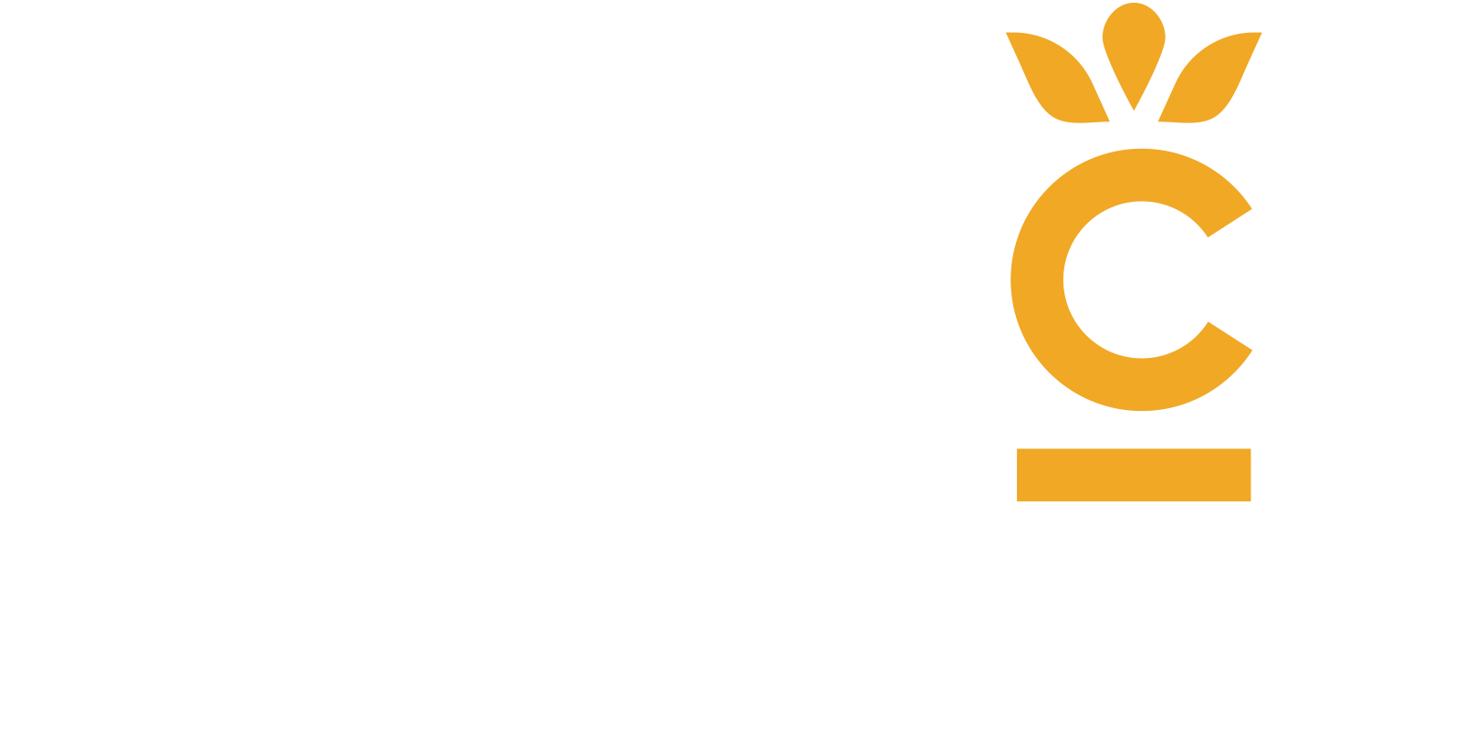 Cacaotic